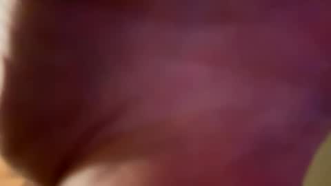 Daniel online show from December 2024 08:37:02 AM