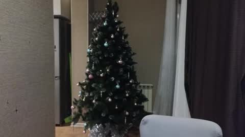 danila online show from January 2026 05:06:02 PM