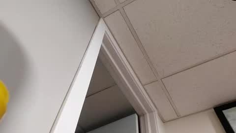 danimal5000 online show from March 2026 07:10:01 PM