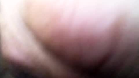 dannowisc online show from July 2026 11:06:01 AM