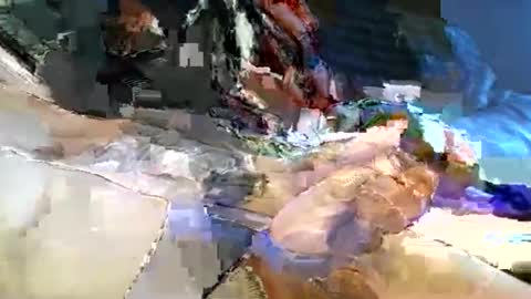 dannytabb1 online show from November 2025 05:40:02 AM