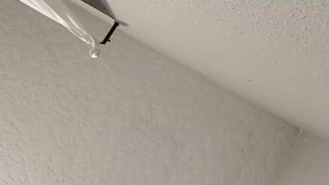 Snapshot of dano9696 chatting on February 2026 07:28:01 AM dano9696 online show from February 2026 07:28:01 AM