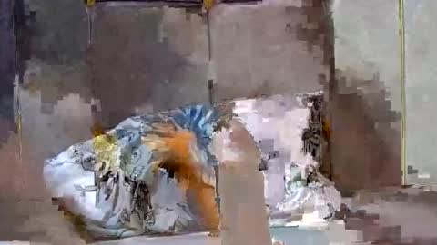 Dark Candy 254 online show from December 2024 03:54:02 PM