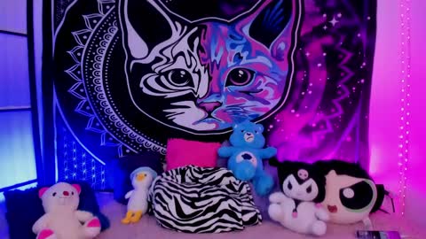 daryimiau online show from April 2026 04:37:02 AM