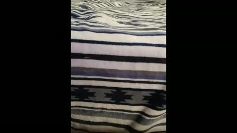 dat_guy8806 online show from January 2026 11:52:02 PM