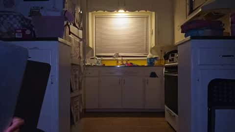 Snapshot of datb0igud chatting on September 2025 08:49:02 AM LushLavish online show from September 2025 08:49:02 AM