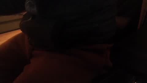 davdao3 online show from December 2024 10:38:02 AM