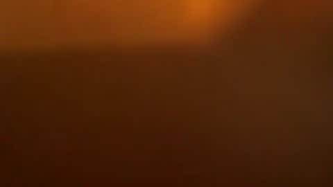 davdao3 online show from March 2026 06:28:01 AM