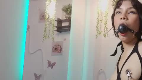 Davi online show from June 2026 02:53:01 AM