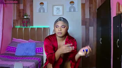 Noha online show from February 2026 10:33:02 AM