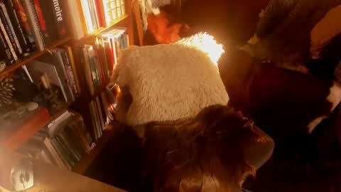 David online show from January 2025 11:10:02 AM