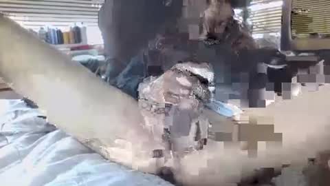 Your daddy online show from September 2025 06:35:02 PM