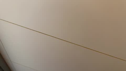 Hornybear online show from February 2026 07:25:02 PM