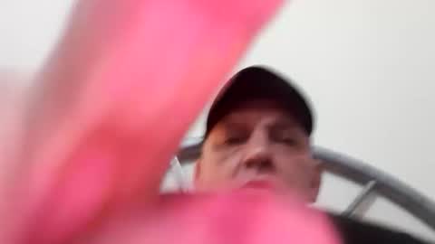 dazzaboxer online show from October 2025 01:12:02 AM