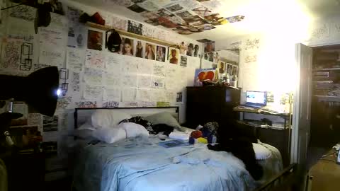 dbeamon92 online show from March 2026 02:04:02 AM