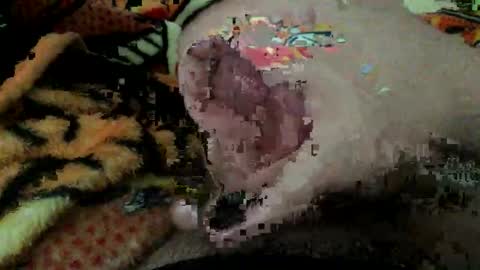 Snapshot of dboy606d chatting on November 2025 08:07:01 PM dboy606d online show from November 2025 08:07:01 PM