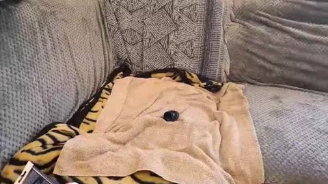 deepandwet86 online show from February 2026 10:05:01 AM