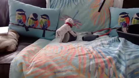 deeperjohnny online show from October 2025 03:35:02 PM