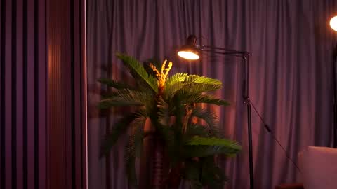 Delilah online show from February 2026 09:07:01 PM