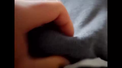 deliv_shopi online show from December 2025 09:47:02 AM