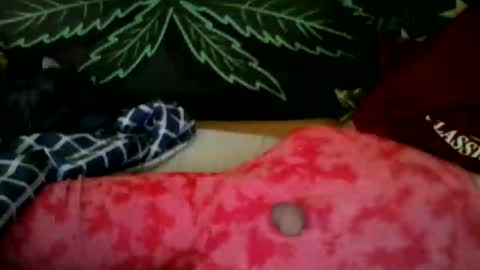 Snapshot of dell_944 chatting on May 2026 03:19:02 PM dell_944 online show from May 2026 03:19:02 PM