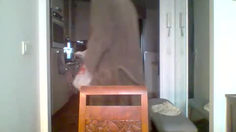 Snapshot of demundu chatting on November 2025 01:17:02 PM demundu online show from November 2025 01:17:02 PM