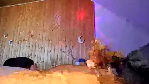 den2807 online show from March 2026 12:30:01 PM