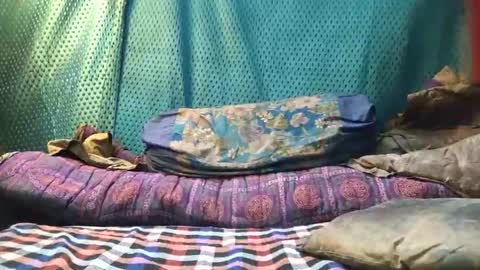 desi_boy799417 online show from March 2026 09:46:01 AM