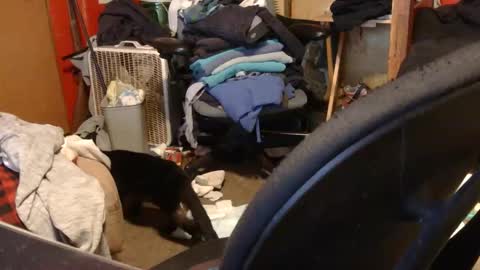 desolation2012 online show from March 2026 05:02:02 AM