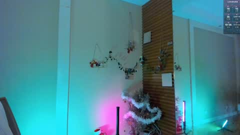 Devil online show from December 2024 03:11:02 AM