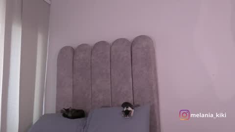 Snapshot of dianne_nanatzu chatting on December 2024 10:11:02 PM Melania - online show from December 2024 10:11:02 PM