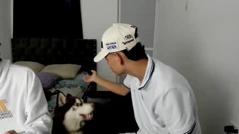 dick online show from December 2025 12:10:01 PM