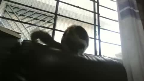 dickeduardo online show from March 2026 10:32:01 PM