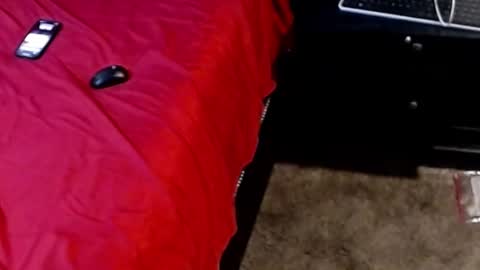 Sparkx online show from September 2025 05:13:01 AM