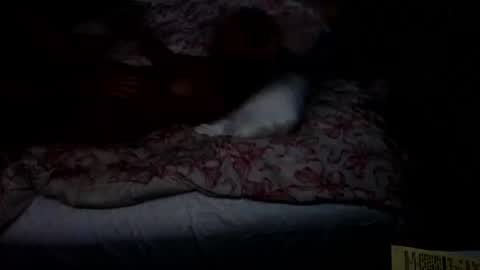 Snapshot of dickgiggler chatting on July 2026 12:34:01 PM Sparkx online show from July 2026 12:34:01 PM