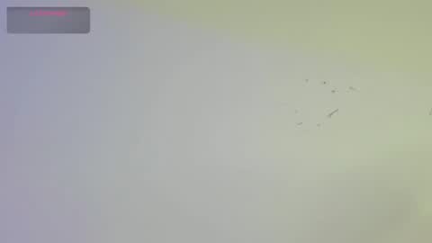 Snapshot of dickgriffith chatting on October 2025 02:19:01 PM Dick Griffith online show from October 2025 02:19:01 PM