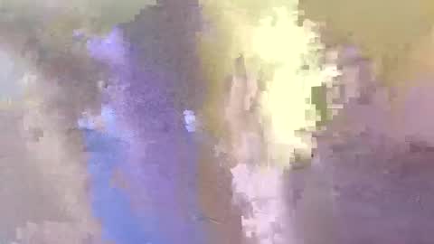 Snapshot of dickielee306251 chatting on March 2026 07:15:01 AM dickielee306251 online show from March 2026 07:15:01 AM