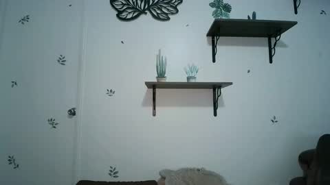 Snapshot of dickslayerdan chatting on January 2025 08:21:01 PM dickslayerdan online show from January 2025 08:21:01 PM