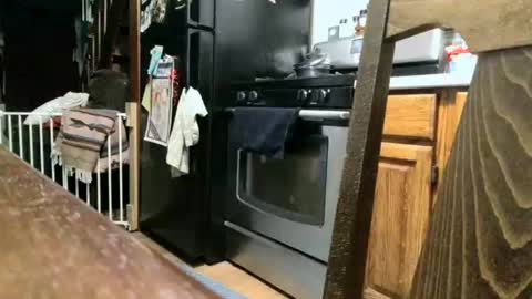 Snapshot of dickwack4u chatting on September 2025 01:27:02 AM dickwack4u online show from September 2025 01:27:02 AM