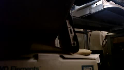 dbNorth online show from January 2025 01:13:01 AM