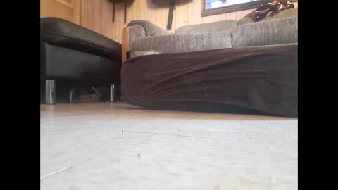 dildosnme22 online show from February 2025 07:48:02 PM