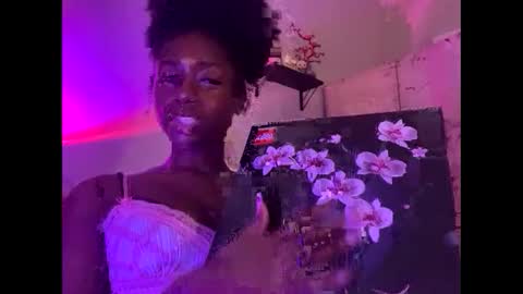 black american princess online show from November 2025 11:30:01 PM