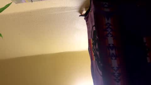 Snapshot of dimepiecebottom chatting on December 2024 01:47:01 PM dimepiecebottom online show from December 2024 01:47:01 PM