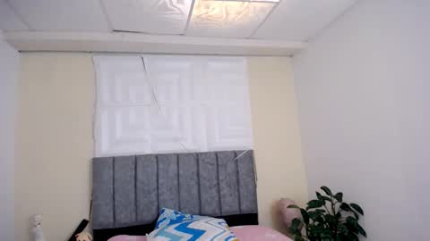 DINA online show from January 2026 06:10:01 PM