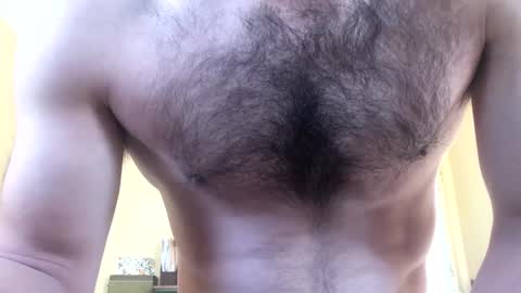 Dingler online show from February 2025 04:40:02 PM