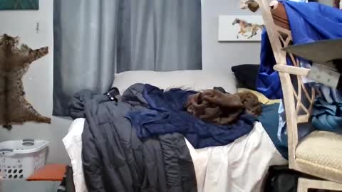 Snapshot of dinodick4uall chatting on February 2025 03:01:02 PM dinodick4uall online show from February 2025 03:01:02 PM