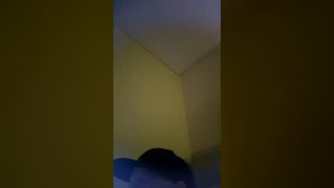 Snapshot of dirkdigglerofficial chatting on July 2026 05:20:02 AM dirkdigglerofficial online show from July 2026 05:20:02 AM