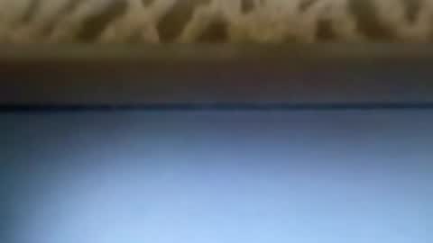 free4fun online show from April 2026 06:13:05 AM