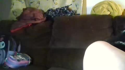 Crystal online show from January 2026 03:30:02 AM