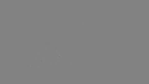 Your Best Worst Nightmare online show from January 2025 05:13:01 PM